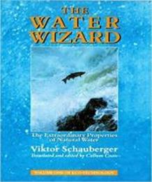 Book cover for The Water Wizard Viktor Schauberger
