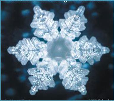 6 pointed symmetrical crystalline coherent structured water molecule photographed by Dr. Emoto. 