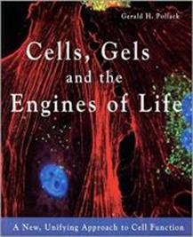 Book cover for Cells, Gels and the Engines of Life A New, Unifying Approach to Cell Function By Gerald H. Pollack
